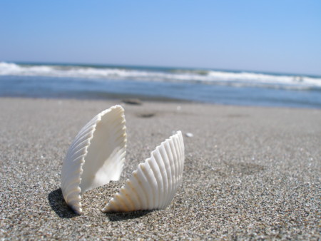 f:id:syuhunomisin:20070822111330j:image