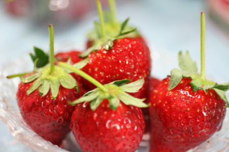 f:id:syuhunomisin:20090217202942j:image f:id:syuhunomisin:20090217202942j:image