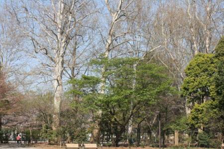 f:id:syuhunomisin:20090410081309j:image