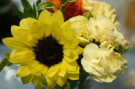 f:id:syuhunomisin:20090722195019j:image f:id:syuhunomisin:20090722195019j:image