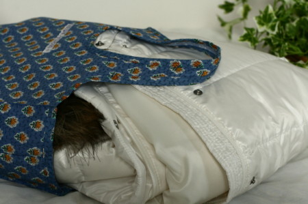 f:id:syuhunomisin:20091210123933j:image