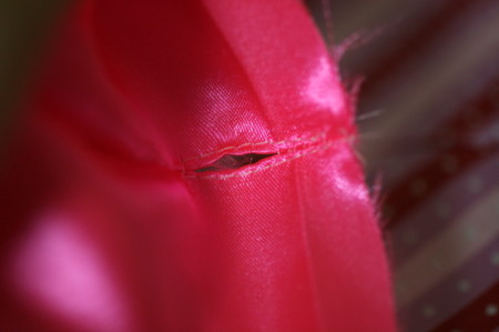 f:id:syuhunomisin:20100504200513j:image