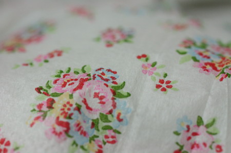f:id:syuhunomisin:20101110224617j:image