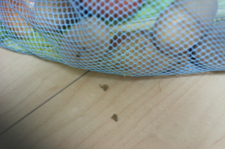 f:id:syuhunomisin:20120728183444j:image