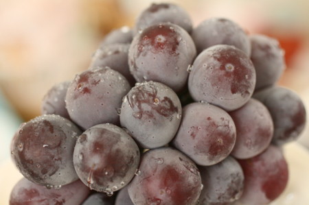 f:id:syuhunomisin:20120909110433j:image