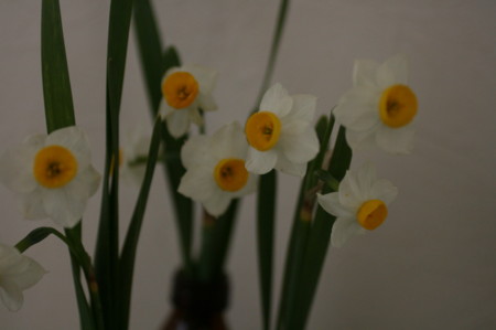 f:id:syuhunomisin:20130303091746j:image