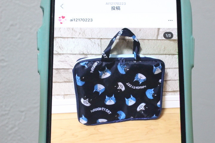 f:id:syuhunomisin:20191201163522j:plain