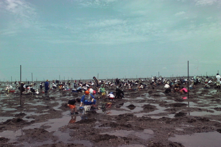 f:id:syuhunomisin:20200609010920j:plain