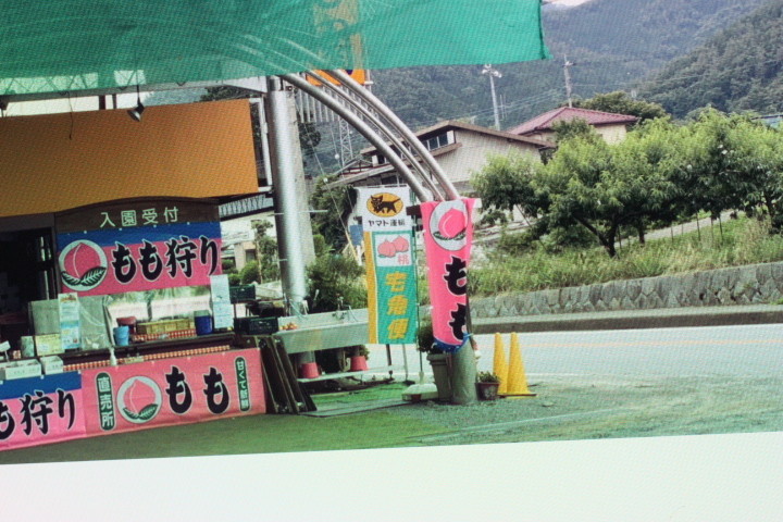 f:id:syuhunomisin:20200628004413j:plain