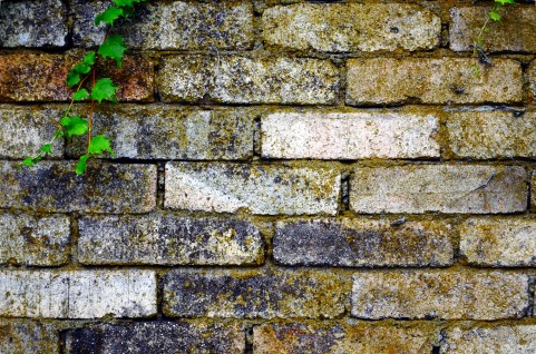 f:id:syuichix:20190221220427j:plain f:id:syuichix:20190221220427j:plain