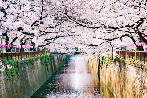 f:id:syuichix:20190314210444j:plain f:id:syuichix:20190314210444j:plain