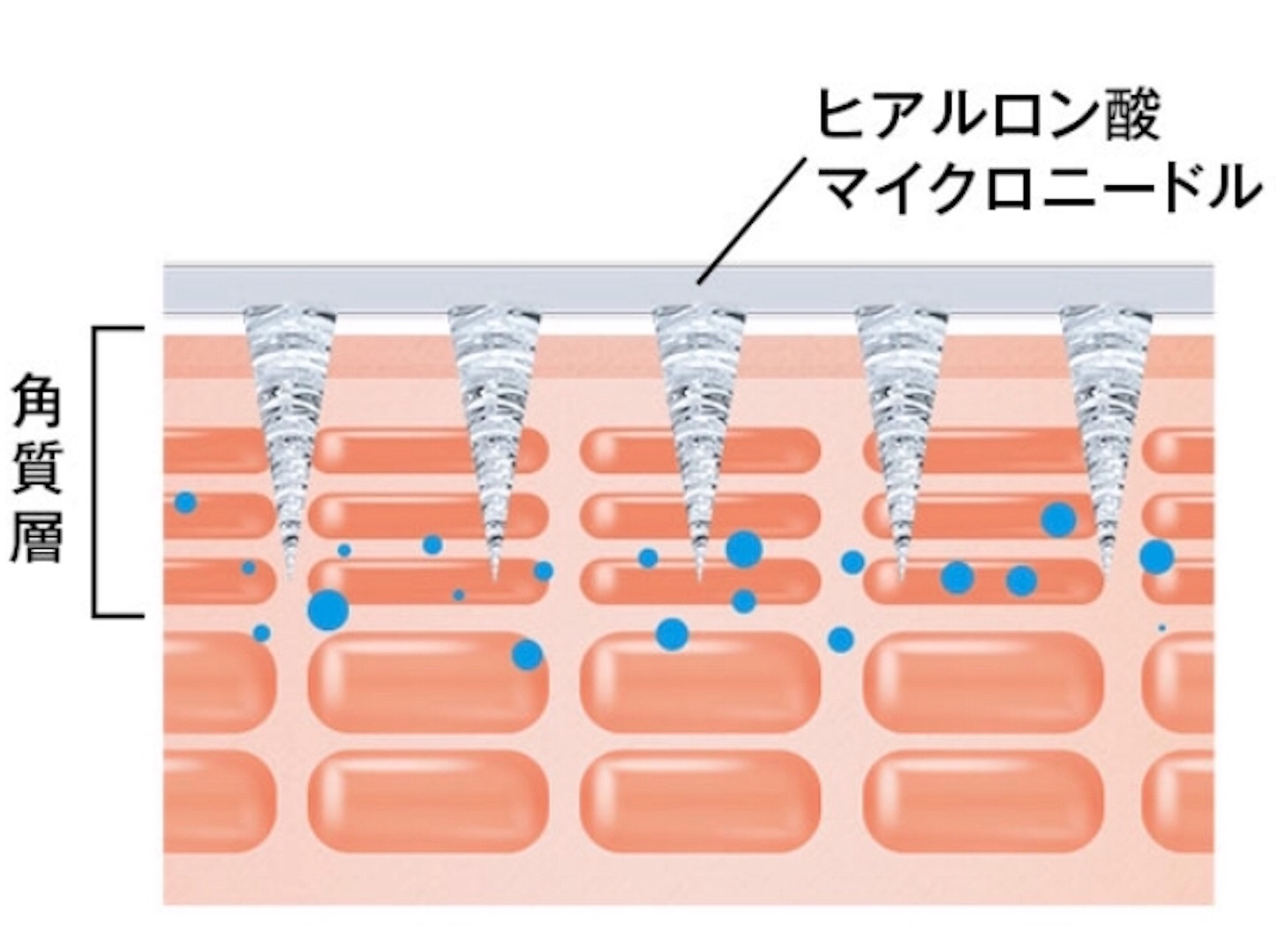 f:id:syuism1215:20190523234644j:image f:id:syuism1215:20190523234644j:image