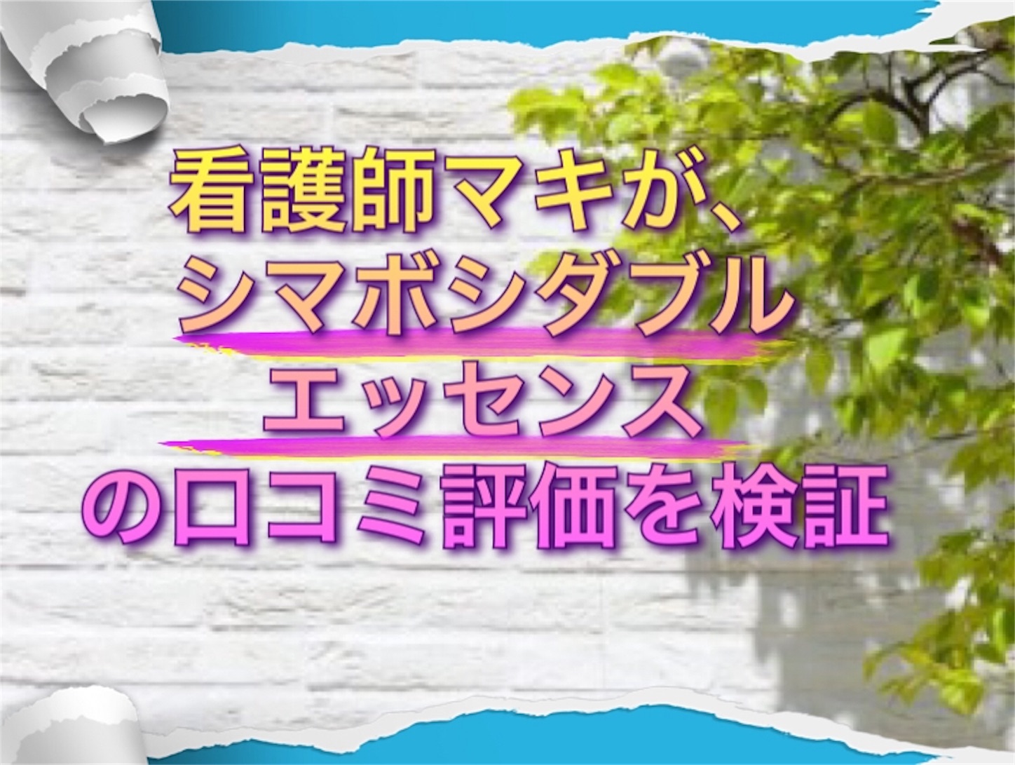 f:id:syuism1215:20190603221539j:image f:id:syuism1215:20190603221539j:image