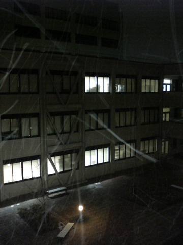 雪の中庭