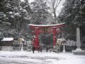 弥彦神社鳥居