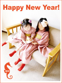 f:id:syuku:20130101024026j:image