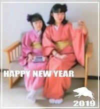 f:id:syuku:20190122172640j:image