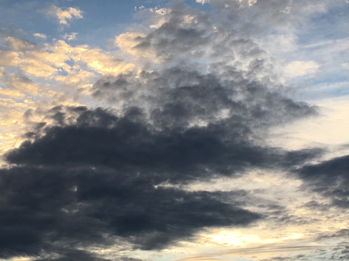 f:id:syukugami:20190823192434j:plain f:id:syukugami:20190823192434j:plain