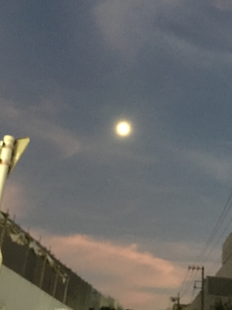 f:id:syukugami:20191005145801j:plain