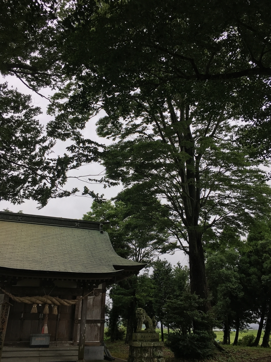 f:id:syukugami:20191020003223j:plain f:id:syukugami:20191020003223j:plain