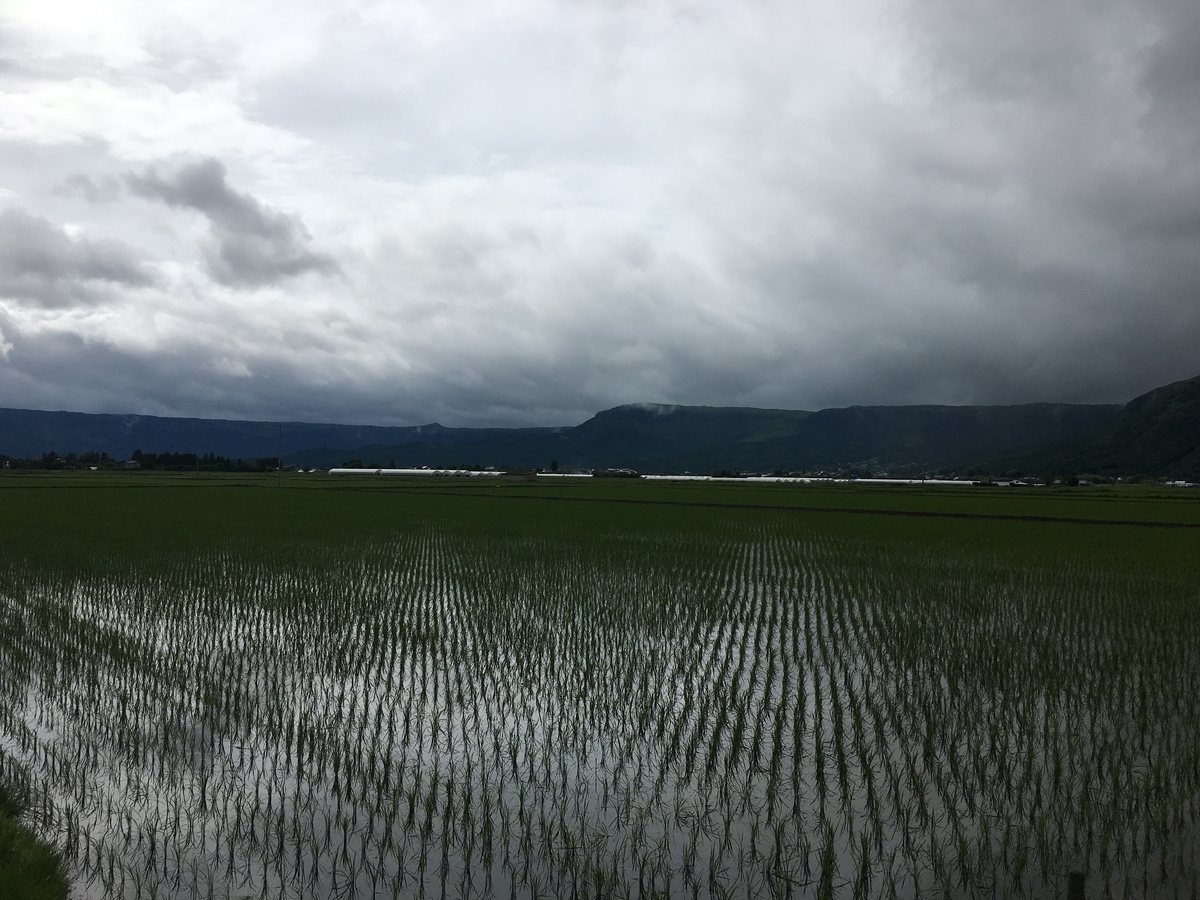 f:id:syukugami:20191224191904j:plain f:id:syukugami:20191224191904j:plain