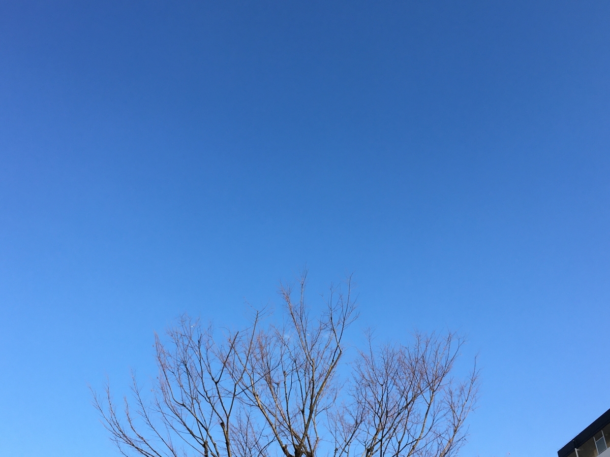 f:id:syukugami:20200315154202j:plain