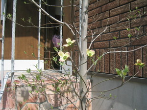 f:id:syukugawa:20050421095628:image