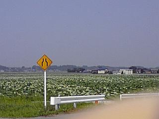 f:id:syulan:20070728135620j:image