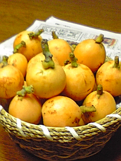 f:id:syulan:20080616213240j:image