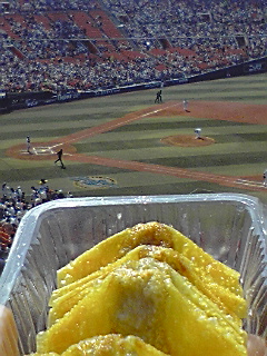 f:id:syulan:20090502135924j:image