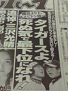 f:id:syulan:20090622055929j:image