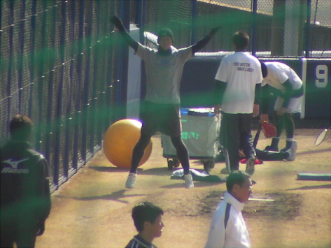 f:id:syulan:20100123011320j:image