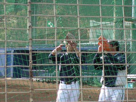 f:id:syulan:20100228045115j:image