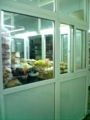 20100317001111