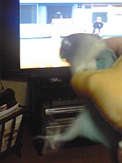 f:id:syulan:20100326223431j:image f:id:syulan:20100326223431j:image