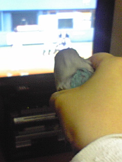 f:id:syulan:20100326223436j:image f:id:syulan:20100326223436j:image