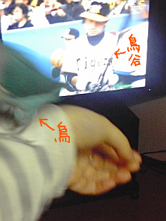 f:id:syulan:20100327001354j:image f:id:syulan:20100327001354j:image