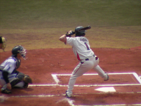 f:id:syulan:20100425002454j:image