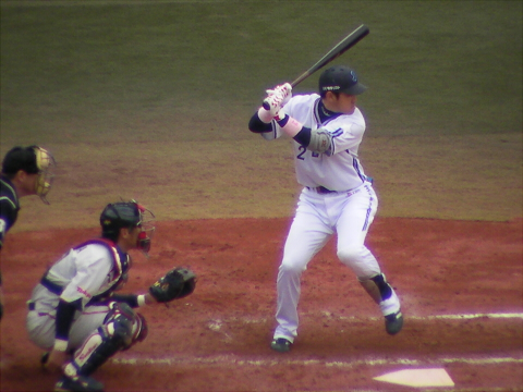 f:id:syulan:20100425002511j:image