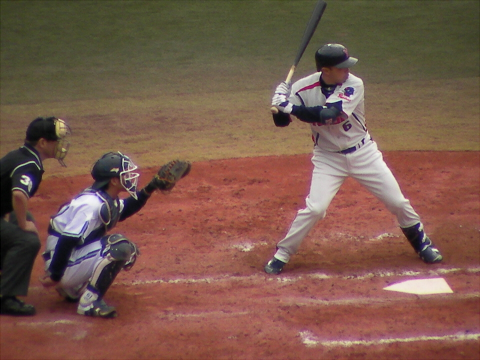 f:id:syulan:20100425002515j:image