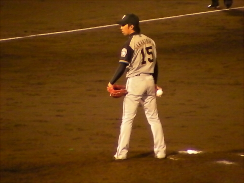 f:id:syulan:20100608031738j:image