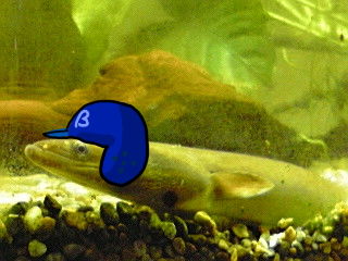 20100623062722