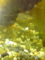 20100623200745