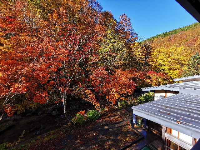 f:id:syumidouraku:20201103172656j:image f:id:syumidouraku:20201103172656j:image