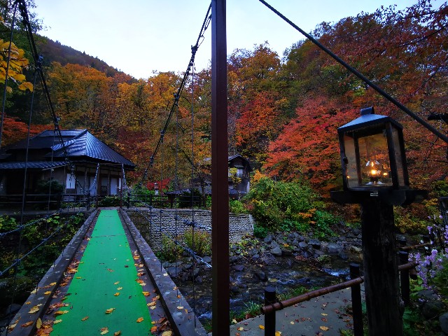 f:id:syumidouraku:20201103174104j:image f:id:syumidouraku:20201103174104j:image