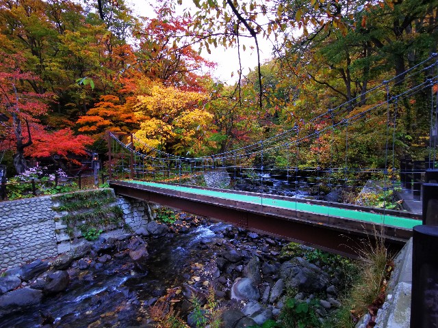 f:id:syumidouraku:20201103174224j:image f:id:syumidouraku:20201103174224j:image
