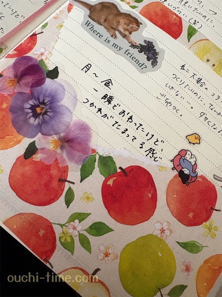 f:id:syuminoburogu:20260207133013j:image f:id:syuminoburogu:20260207133013j:image