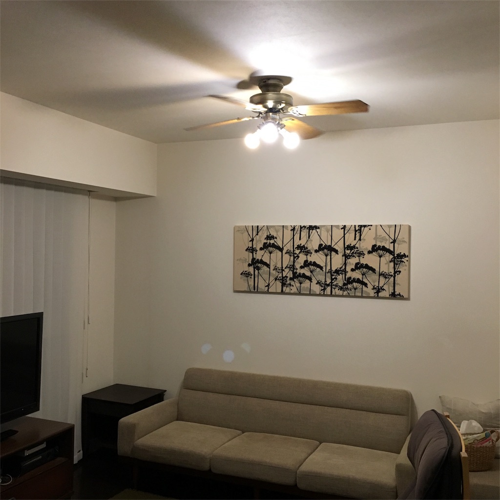 f:id:syunjin:20170110222338j:image