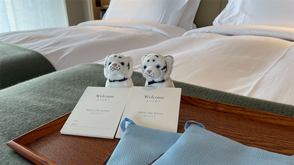 f:id:syunjin:20201229215150j:image