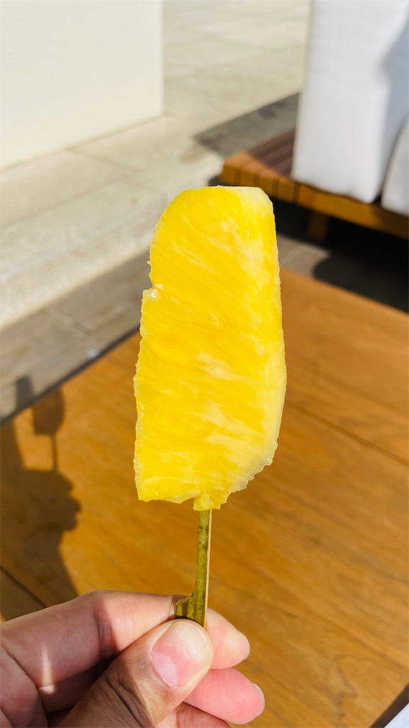 f:id:syunjin:20211016074639j:image